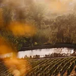 Vakantieboerderij Tenuta La Romana Nizza Monferrato