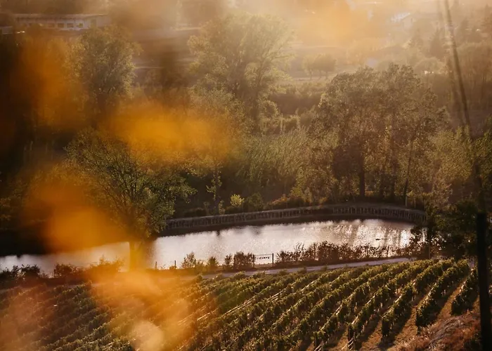 Κατάλυμα σε φάρμα Tenuta La Romana Nizza Monferrato